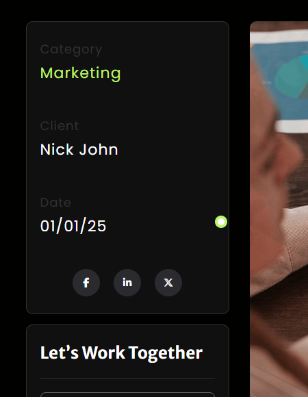 Portfolio Detail Sidebar Widget