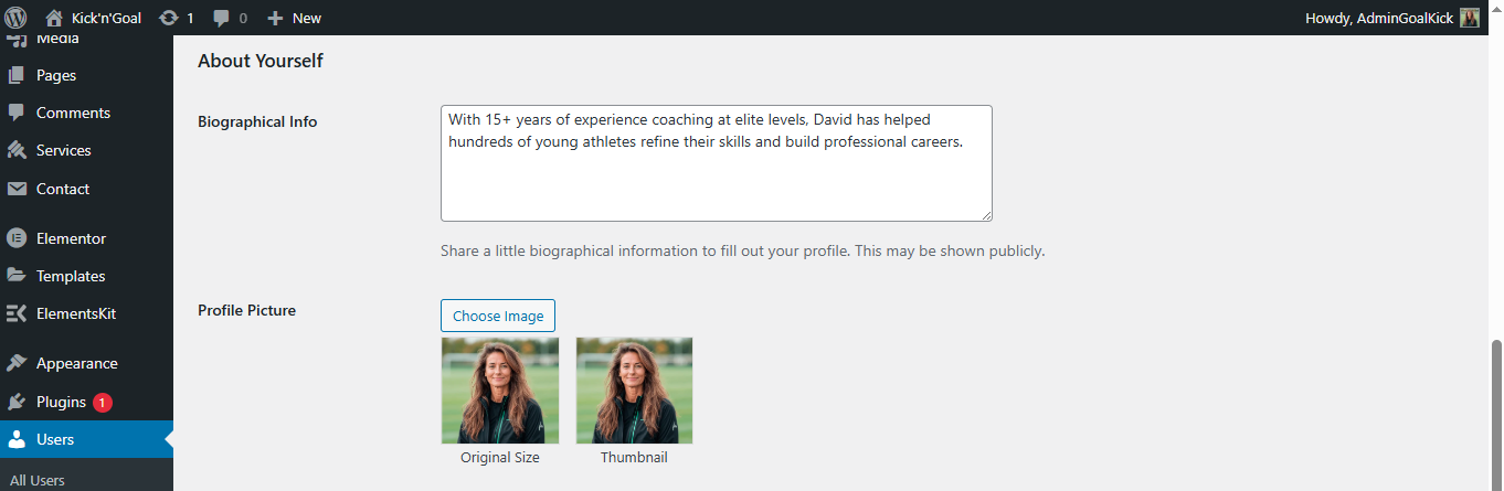Author bio settings example